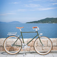 Załaduj obraz do przeglądarki galerii, Dia-Compe ENE Chain Guard – osłona na łańcuch