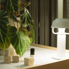 Załaduj obraz do przeglądarki galerii, Aromatyczne kostki z drewna Hiba + olejek eteryczny Hiba Wood