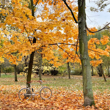 Załaduj obraz do przeglądarki galerii, TOKYOBIKE GROUP RIDE