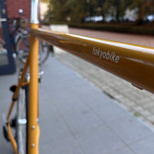Załaduj obraz do przeglądarki galerii, Customizowany CS26 Mustard 61 cm