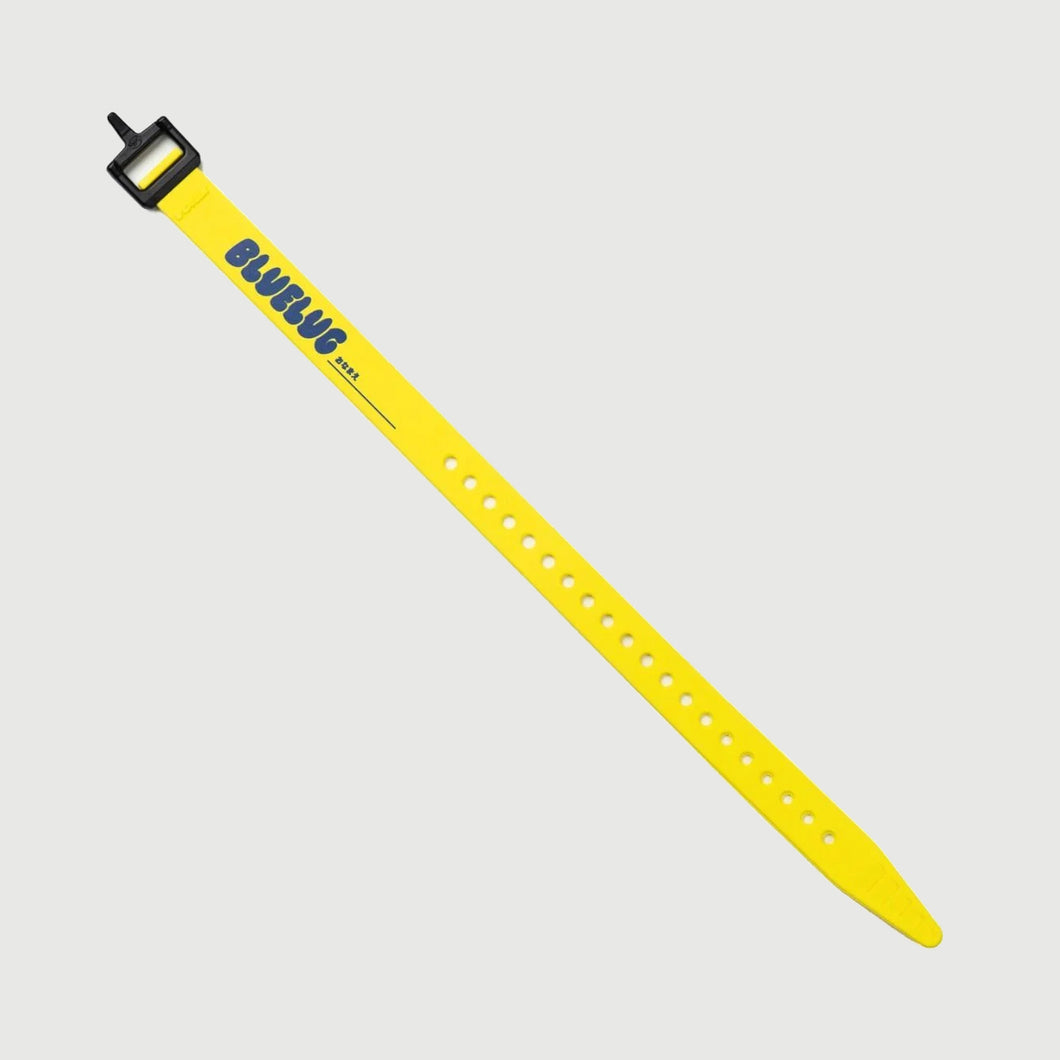 Nylon Buckle Strap