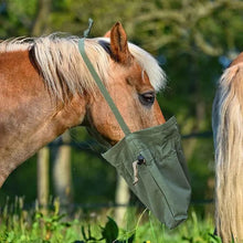 Załaduj obraz do przeglądarki galerii, Torebka Horse Feed Bag
